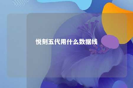 悦刻五代用什么数据线