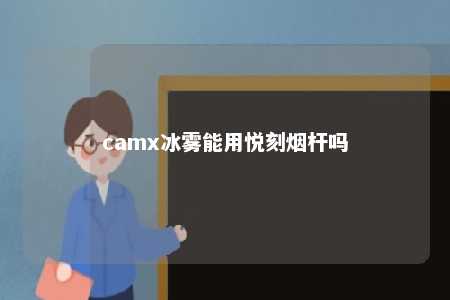 camx冰雾能用悦刻烟杆吗