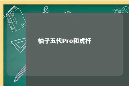 柚子五代Pro和虎杆