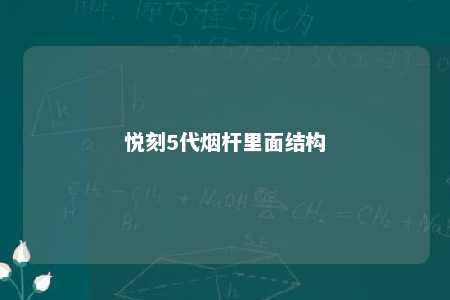 悦刻5代烟杆里面结构