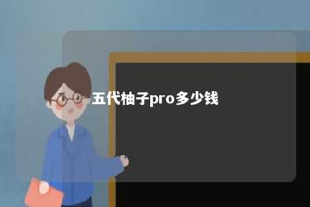 五代柚子pro多少钱